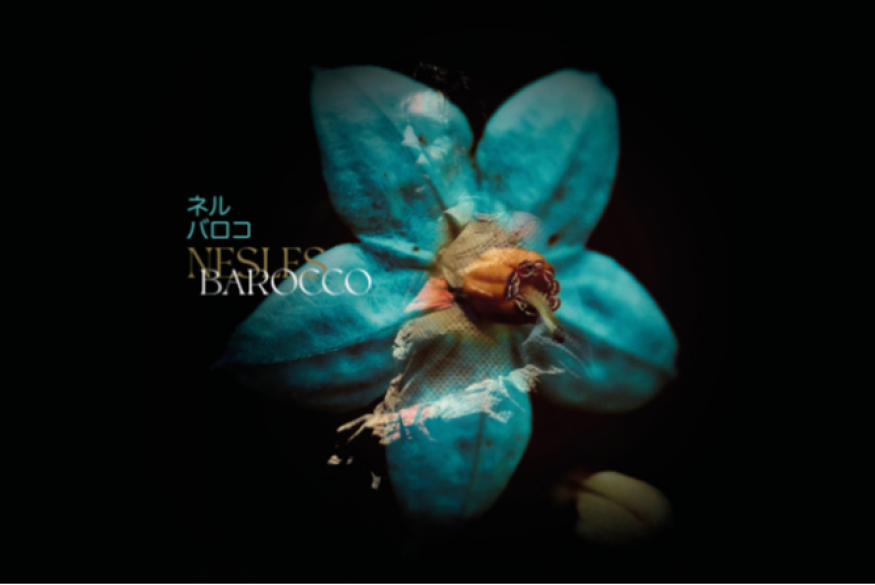 Portrait radiophonique de Nesles