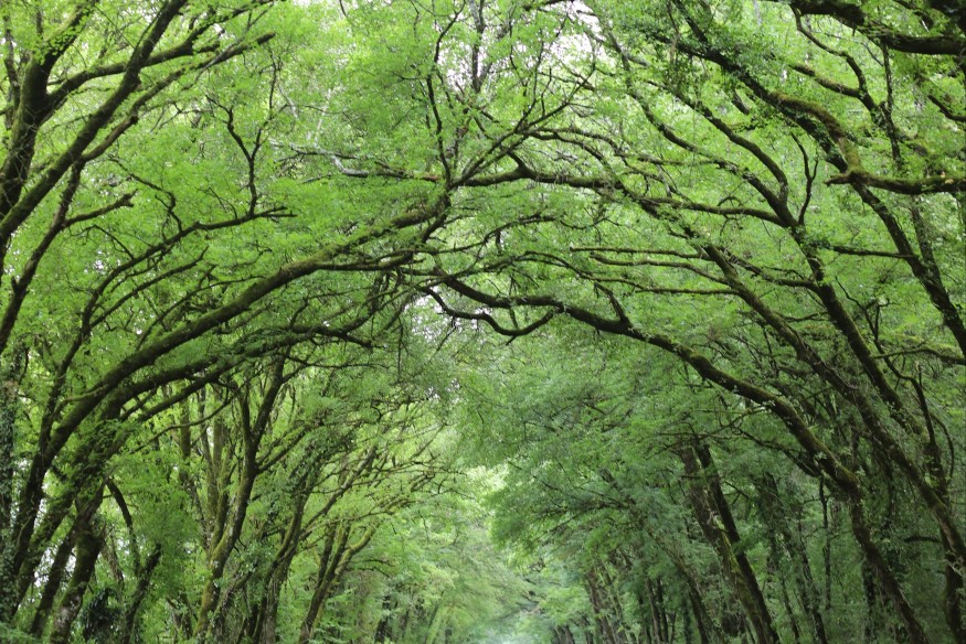 Les arènes de l'écologie #55 - 08/04/26 - La voie de la biodiversité 1/4