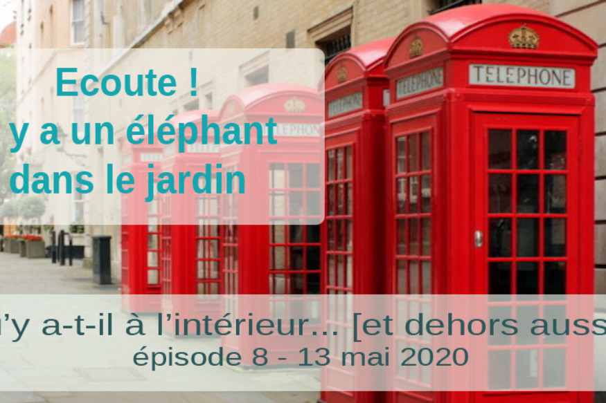Ecoute ! Il y a un éléphant... # 13 mai 2020 - "Qu'y a-t-il à l'intérieur... [et dehors aussi]?" - Episode 8